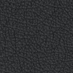 florida state seminoles