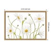 Amanti Art Ox eye Daisies by Mandy Disher Canvas Wall Art Print Framed 23 x 16-in. - 3 of 4