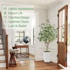Artificial Tree in Pot with Realistic Leaves & Natural Wood Trunk - 4 of 4
