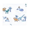 Little Treasure Hudson Baby Cotton Poly Flannel Receiving Blankets Multipack, Blue Pastel Dino, 30x30 inches - image 3 of 4