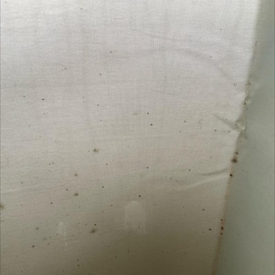 Guest review image 1 of 1, zoom in