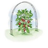 Gardeners Supply Company Garden Hoops Grow Tunnel Support | Greenhouse Raised Garden Bed Fabric Row Cover Arch Frame, Garden Stakes For Plants & - 2 of 2