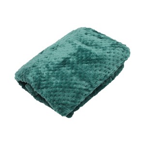 Unique Bargains Blanket Mesh Pineapple Pattern Coral Fleece Polyester 28"x39" - 1 of 4