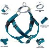 2 Hounds Design Freedom No-Pull Dog Harness and Leash (Large 1") (Teal) - 2 of 4
