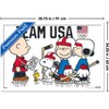 Trends International Team USA x Peanuts – Olympic Hockey Team Framed Wall Poster Prints - 3 of 4