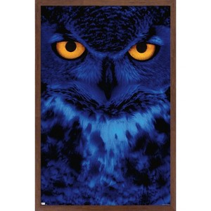 Trends International Owl - Eyes Framed Wall Poster Prints - 1 of 4