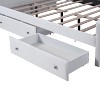 Polibi Velvet Twin/Full Daybed with APP-Controlled Light Strip and 2 Drawers - 4 of 4