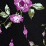 purple rose floral