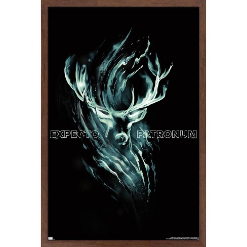 Harry Potter - Expecto Patronum Magic Wall Poster, 22.375 inch x 34 inch, Framed, FR22092MAH22X34EC