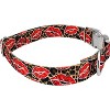 Country Brook Petz Premium Dog Collar - Affection Collection - 3 of 4