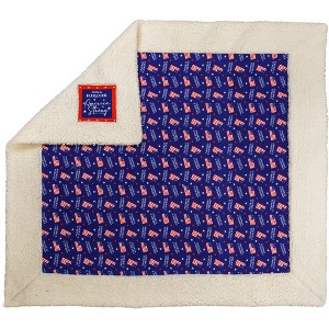Pavilion Gift Company - America Strong - 45" x 50" Plush Blanket - Throw Blankets - 1 of 4