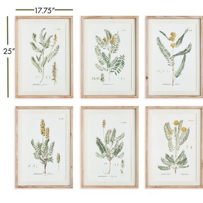 Mid-Summer Blooms Prints with Whitewashed Wood Frames, Set of 6