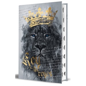 Biblia Rvr 1960 Letra Grande Tamaño Manual, Tapa Dura León Rey de Reyes Con Índice / Spanish Bible Rvr 1960 Handy Size Large Print Hardcover Lion - 1 of 1