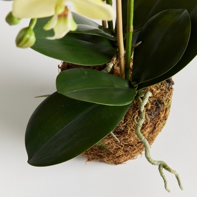 Handcrafted 30" Yellow Orchid in Decorative Pot