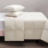 CosmoLiving by Cosmopolitan Queen Organic Cotton Prime Feather Comforter: Hypoallergenic, Woven, RDS Certified - 2 of 4