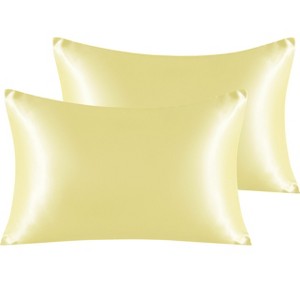 2 Pack Satin Pillowcases for Hair and Skin, Luxurious and Silky Pillow Cases with Envelope Closure - NTBAY - 1 of 4