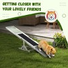 LAOTIES 71" Wooden Dog Agility Seesaw,Outdoor Training And Exercise Ramp with Non-Slip Surface,Pet Balance Equipment - 4 of 4