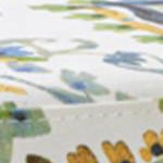 Paisley Fabric