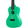 Kala KA-WMS-C Concert Waterman Ukulele - 3 of 4