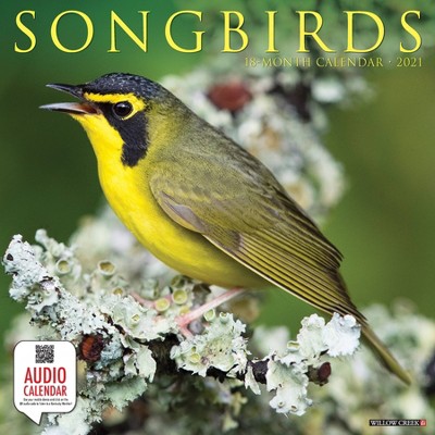 2021 Monthly Wall Calendar Songbirds - Willow Creek Press