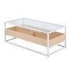 PAGED Modern 2-Tier Coffee Table with Glass Top & Wooden Storage,Minimalist Design Tea Table in Black Metal,Center Table for Living Room,Bedroom - 4 of 4
