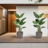 Kozyard Planter Indoor Outdoor Plant Pots with Tray Collecting Water for Tall Plants, Flowers - 4 of 4