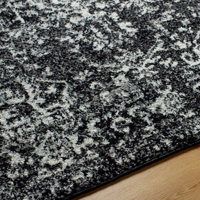 Amelia Black and Gray Synthetic Rectangular Area Rug 3'11" x 5'7"