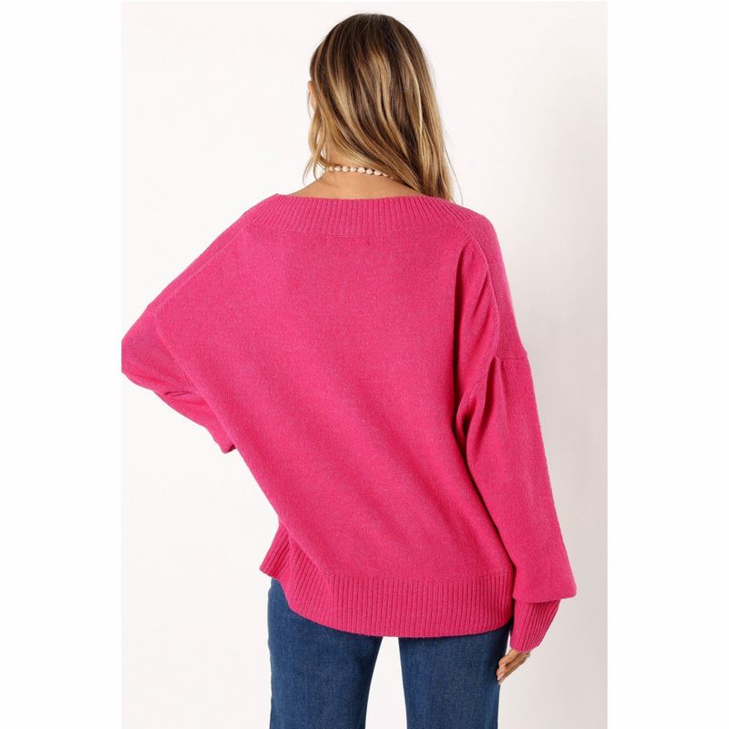 Petal and Pup Womens Palmer Vneck Knit Sweater, 3 of 7