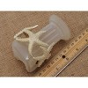 Anna-Kaci Women's Starfish Design Elastic Cuff Bracelet Summer Beach Inspired Jewelry - 4 of 4