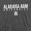 Alabama A&M University Official Stacked Adult Pull-Over Hoodie - 2 of 4