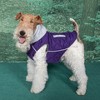 Doggie Design Weekender Dog Sweatshirt Hoodie - Purple - image 2 of 4