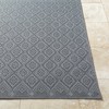 Hauteloom Bandit Gray Area Rug - 2 of 4
