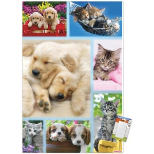 Trends International Keith Kimberlin - Puppies and Kittens Collage Unframed Wall Poster Prints - 1 of 4
