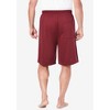 KingSize Men's Big & Tall KS Sport Power Wicking Shorts - 3 of 4