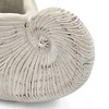NAYSAYE Decorative Cement Nautilus Shell Planter Coastal Beach Style Pot for Living Room, Beige, 11.5"*6.7"*7.7" - 3 of 4