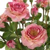 Uttermost Adoration Rose Bouquet-Pink Toned Roses with Faux Water in Glass Jar - 4 of 4