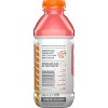 Gatorade Gatorlyte Zero Strawberry Kiwi Sports Drink - 20 fl oz Bottle - image 2 of 3