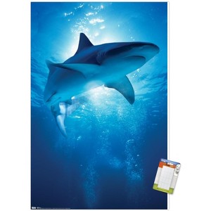 Trends International Shark - Depths Unframed Wall Poster Prints - 1 of 4