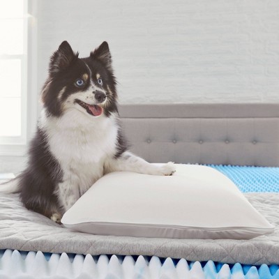 Standard White Memory Foam Bed Pillow with Washable Cover