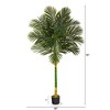 Nearly Natural 6-ft Single Stalk Golden Cane Artificial Palm Tree - 2 of 4