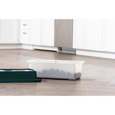 Green Elevated Dog Feeder with Airtight Storage and Stainless Steel Bowls