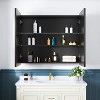Elise Bathroom Medicine Cabinet with Mirror, Surface or Recessed Mount, Adjustable Tempered Glass Shelves, Reversible - 2 of 4