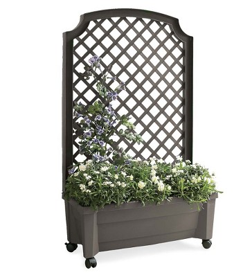 Planter With Trellis And Self-Watering Reservoir