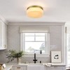 DAKAFUL 5-Color Temperature LED Ceiling Light with Painted Iron&Cloud Glass Shades, Modern Flush Mount Ceiling Lamp for Bedroom, Kitchen - 4 of 4