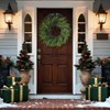 24 inch real norfolk pine wreath front door artificial faux green pine needles farmhouse indoor outdoor home decor - 4 of 4
