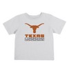 NCAA Texas Longhorns Toddler Boys' 2pk T-Shirt - 3 of 4