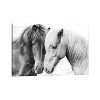 iCanvas Horse Love by Sisi and Seb Canvas Print Wall Art - image 2 of 3