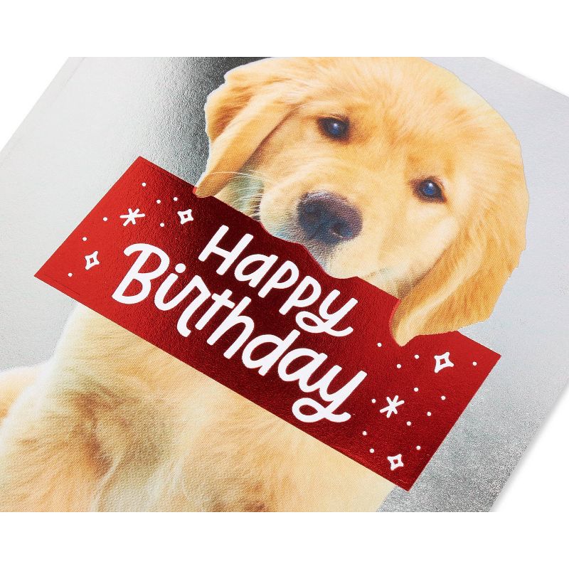 Birthday Card Puppy, 6 of 7
