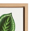 Kate and Laurel Sylvie Leaves Study Framed Canvas by Maria Filar, 18x24, Natural - 3 of 4