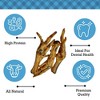 Country Living Chicken Feet Dog Treats - All-Natural, Crunchy & Nutritious Snacks for Joint Support – (20-Pack) - 4 of 4